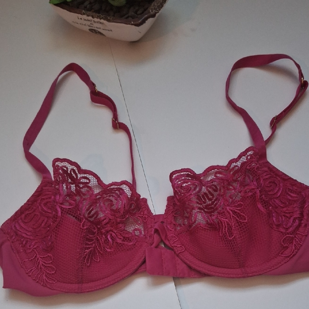Elegant Pink Lace Bra